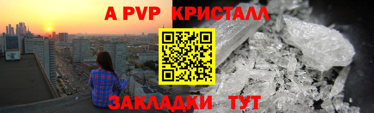 A PVP СК Ржев
