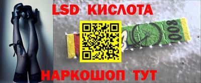 шишки Заводоуковск