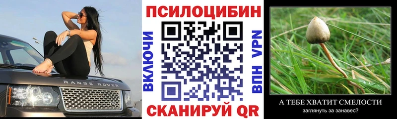 omg зеркало  Ржев  Галлюциногенные грибы MAGIC MUSHROOMS 