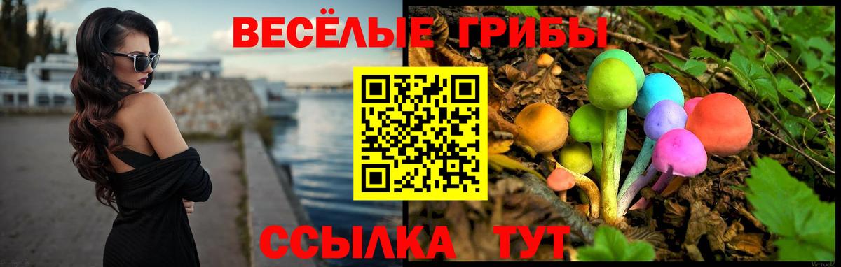Галлюциногенные грибы GOLDEN TEACHER  Вход с VPN  Ржев 